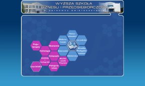 Strona internetowa WSBiP w Ostrowcu �w.